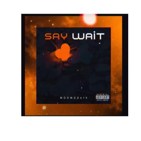 Say Wait | Boomplay Music