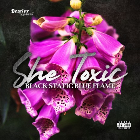 She Toxic | Boomplay Music