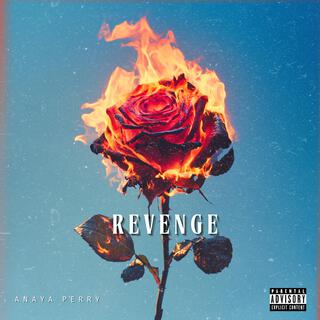 Revenge lyrics | Boomplay Music