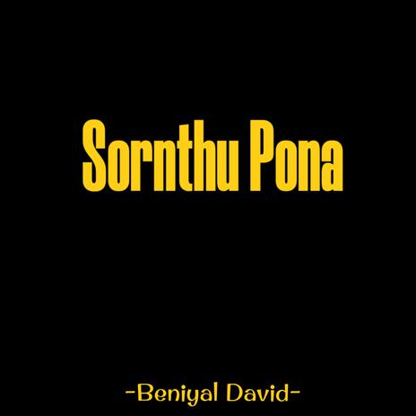 Sornthu Pona