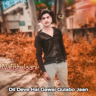 Dil Deve Hai Gawai Gulabo Jaan