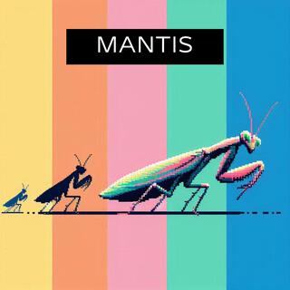 Mantis