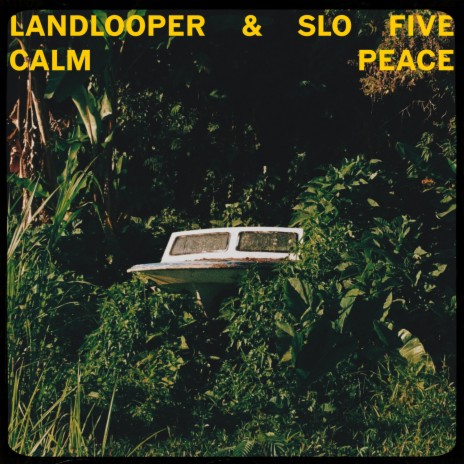 Calm Peace ft. Landlooper | Boomplay Music