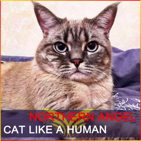 Cat Like a Human (Radio Edit) | Boomplay Music