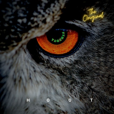 Hoot | Boomplay Music