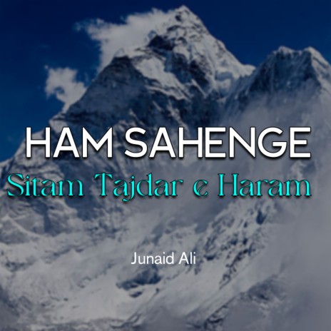 Ham Sahenge Sitam Tajdar e Haram