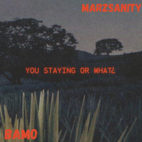 YOU STAYING OR WHAT¿ ft. MarzSanity | Boomplay Music