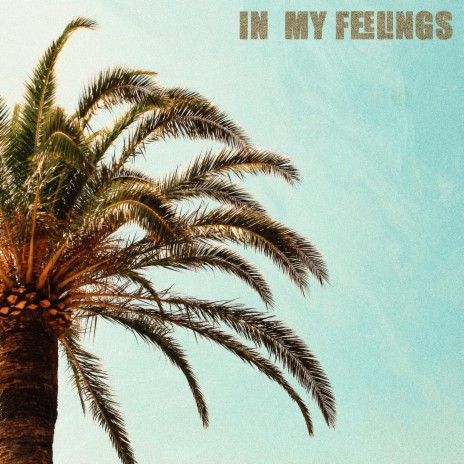 In My Feelings ft. Banjac | Boomplay Music