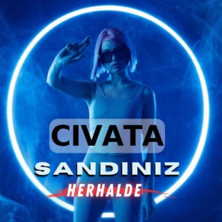 Cıvata Sandınız Herhalde (Replik Remix)