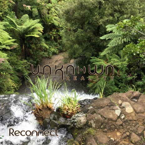 Reconnect | Boomplay Music