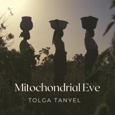 Mitochondrial Eve | Boomplay Music