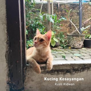 Kucing Kesayangan