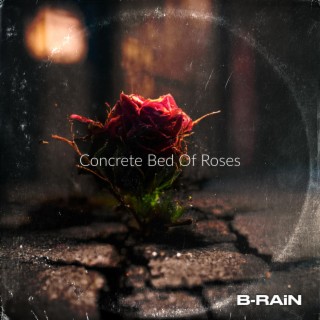 Concrete Bed of Roses
