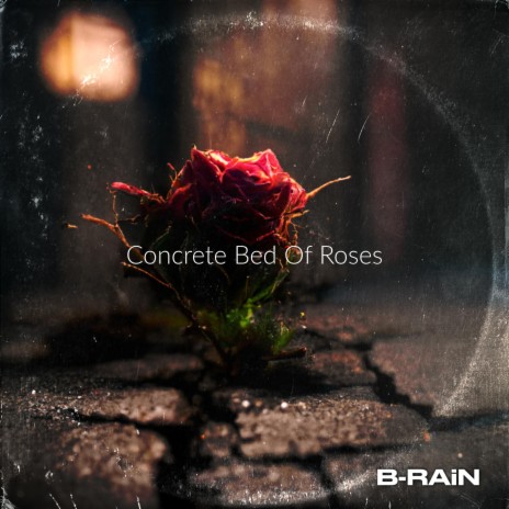 Concrete Bed of Roses | Boomplay Music