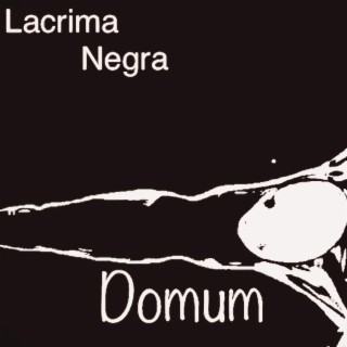 Domum Umbrae Virtus et Lux