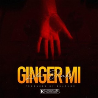 Ginger Mi