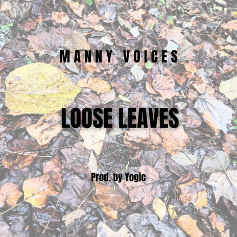 Loose Leaves | Boomplay Music