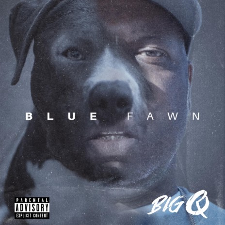 Blue Fawn | Boomplay Music