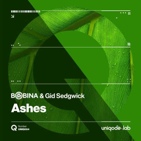 Ashes ft. Gid Sedgwick | Boomplay Music