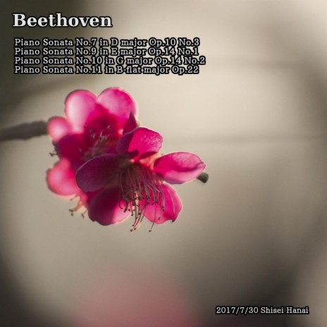 Piano Sonata No. 11 in B-Flat Major, Op. 22: III. Menuetto | Boomplay Music