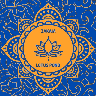 Lotus Pond