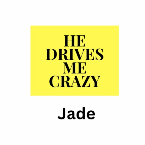 He Drives Me Crazy | Boomplay Music