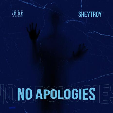 No Apologies | Boomplay Music