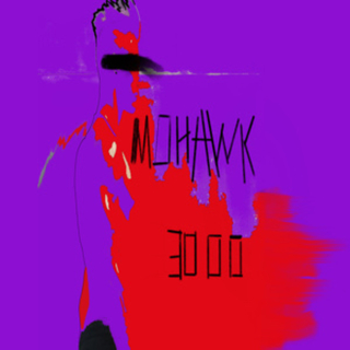 Mohawk 3000 lyrics | Boomplay Music