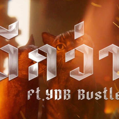 ดีกว่า ft. YDB BUSTLE | Boomplay Music