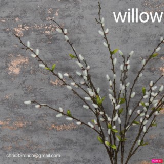 Willow