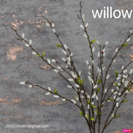 Willow | Boomplay Music