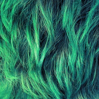 Green Hair lyrics | Boomplay Music