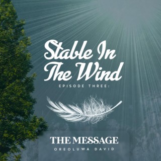 THE MESSAGE | Stable in the Wind | Episode 3 lyrics | Boomplay Music