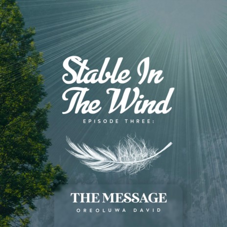 THE MESSAGE | Stable in the Wind | Episode 3