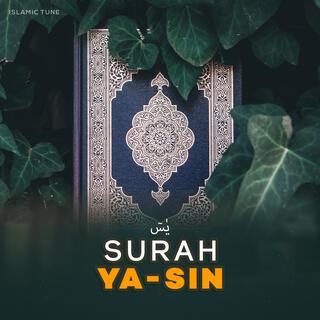 Surah Yasin