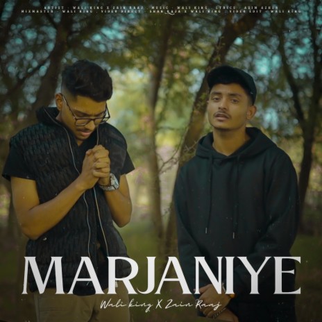 Marjaniye | Boomplay Music