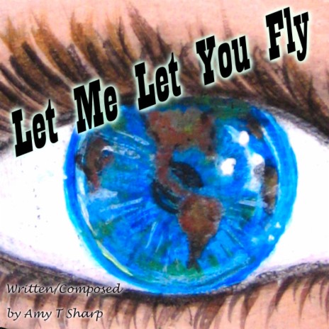 Let Me Let You Fly | Boomplay Music