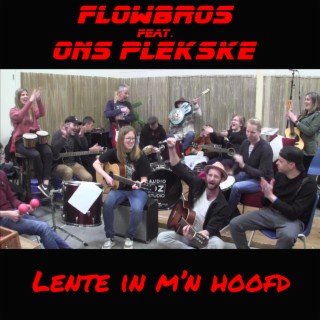 Lente in m'n hoofd (Remix)