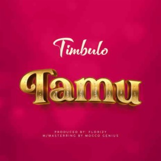 Tamu lyrics | Boomplay Music