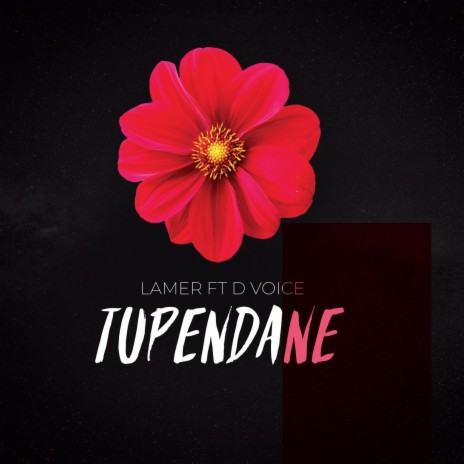 Tupendane (feat. D Voice) | Boomplay Music