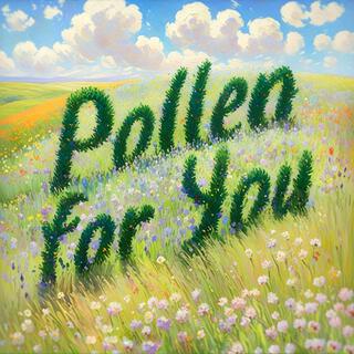 Pollen for You lyrics | Boomplay Music