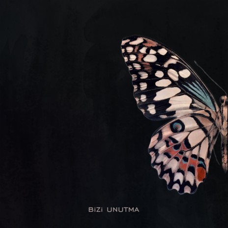 Bizi Unutma | Boomplay Music