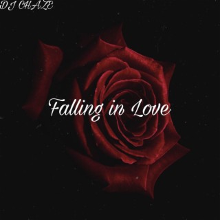 Falling In Love