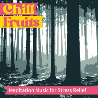 Meditation Music for Stress Relief