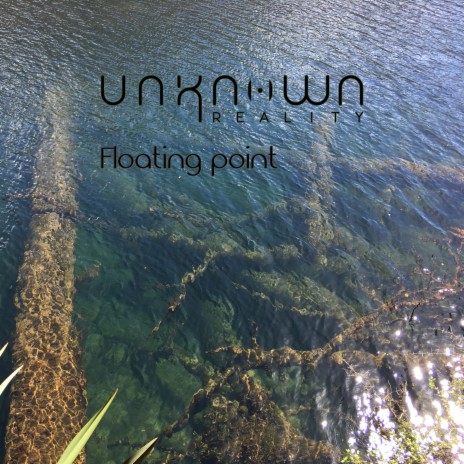 Floating Point | Boomplay Music