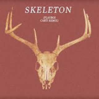 SKELETON lyrics | Boomplay Music