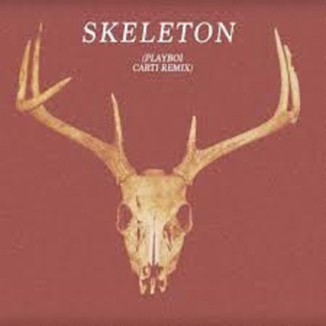 SKELETON | Boomplay Music