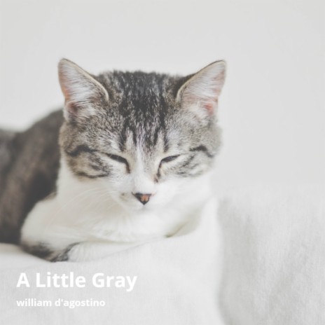 A Little Gray | Boomplay Music