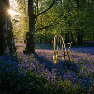 Old Wooden-Backed Chair