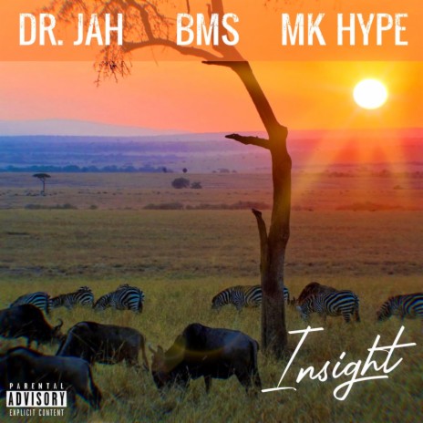 Insight ft. Dr. Jah & MK Hype